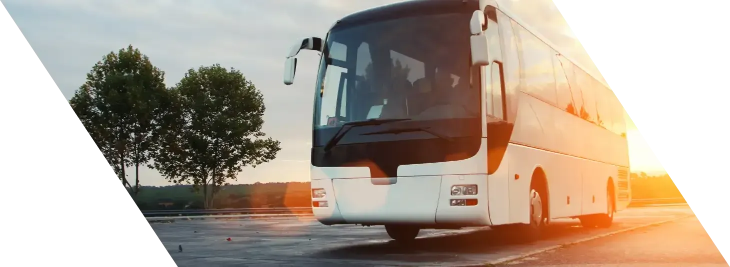 Transportation & Transit